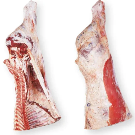 Frozen Beef Heart