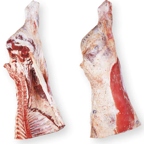 Frozen Beef Fore Quarters